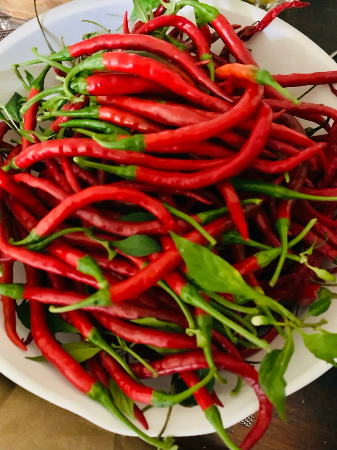 Hot Long Red Slim Cayenne Pepper 1/16 oz