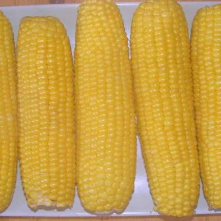 Incredible Sweet Yellow Corn 1/2 LB