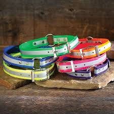 OmniPet Reflective Collar with Ring