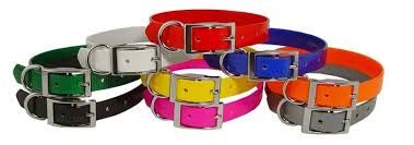 OmniPet SunGlo Collar