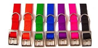 OmniPet 2-Ply Nylon Collar
