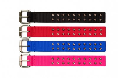 OmniPet Spiked 2 Ply Nylon Collar