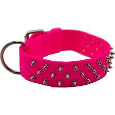 OmniPet Spiked 2 Ply Nylon Collar, Color: Pink, Size: 23"
