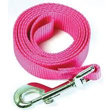 OmniPet Nylon Leash, Color: Pink, Size: 4Ft