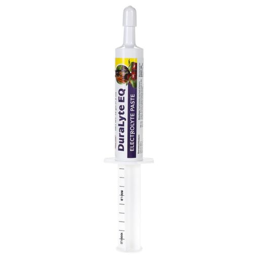 Durvet 699881 Duralyte EQ Electrolyte Paste 34gm