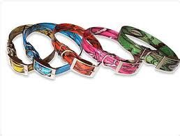 Camo Dog Collar