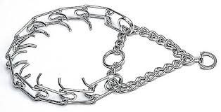 Spiked Training Collar