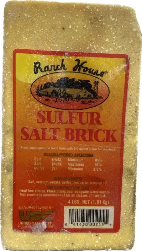 Sulfur 4LB Salt Brick Ranch House