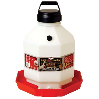 Little Giant 5 Gal Poultry &amp; Game Bird Waterer