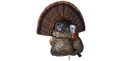 Flextone Thunder Creeper Turkey Decoy