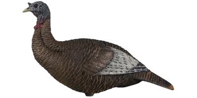 Flextone Thunder Chick Upright Turkey Decoy