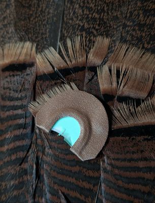 Doneskii Mouth Call Turkey Call