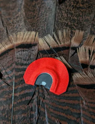 Ghost Mouth Call Turkey Call