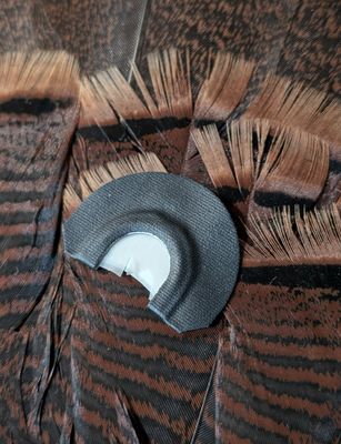 Reverse Combo Mouth Call Turkey Call