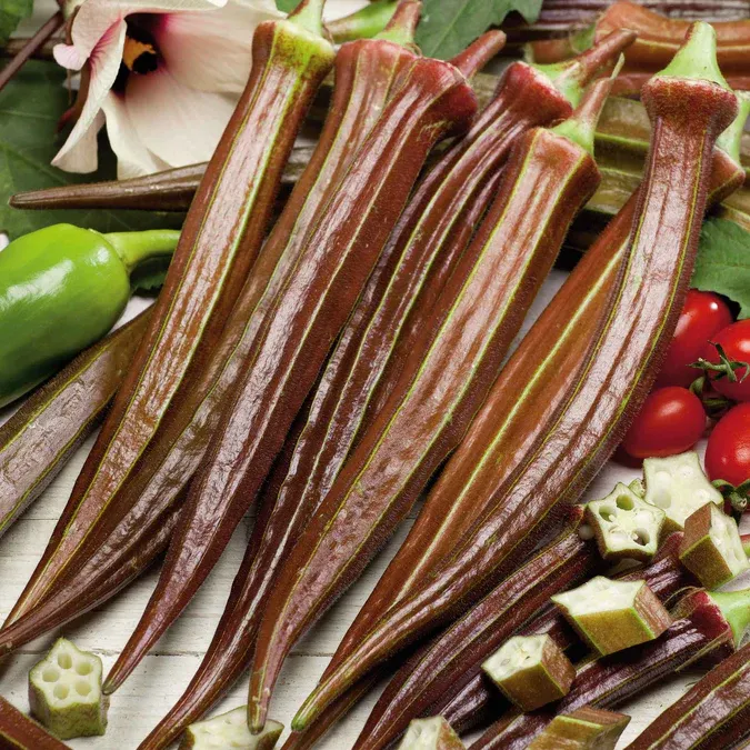 Burgundy Okra 1 oz