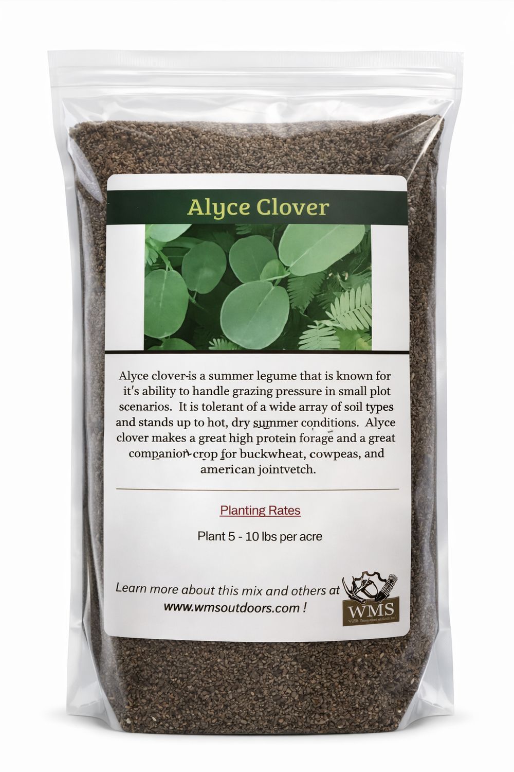 WMS Alyce Clover 5lb