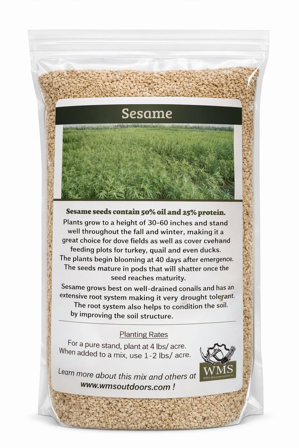 WMS Sesame 5lbs