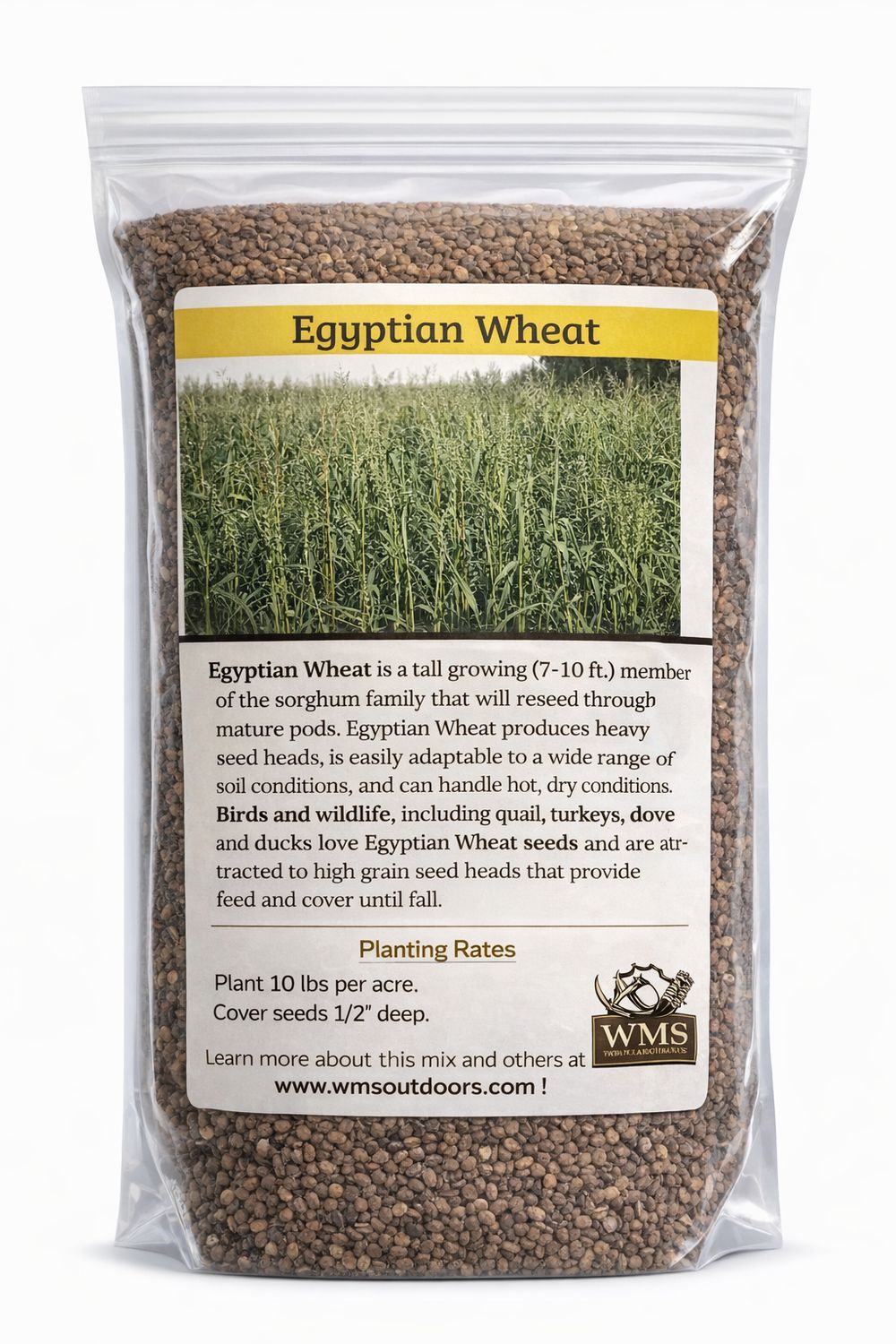 WMS Egyptian Wheat 10lb