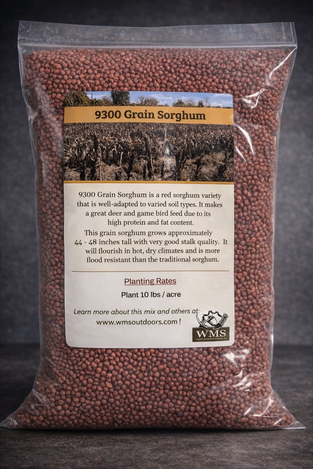 WMS 9300 Grain Sorghum 10lb