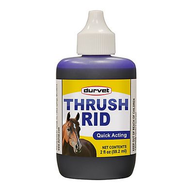 Durvet Thrush Rid for Horses - 2 fl oz