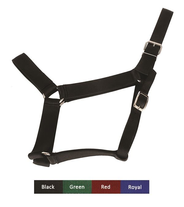 Large Horse Halter, Color: Black