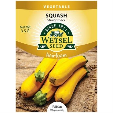 Wetsel Seed™ Heirloom Straightneck Squash - 3.5g