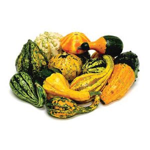 Gourd, Ornamental Mix - 0.5 oz