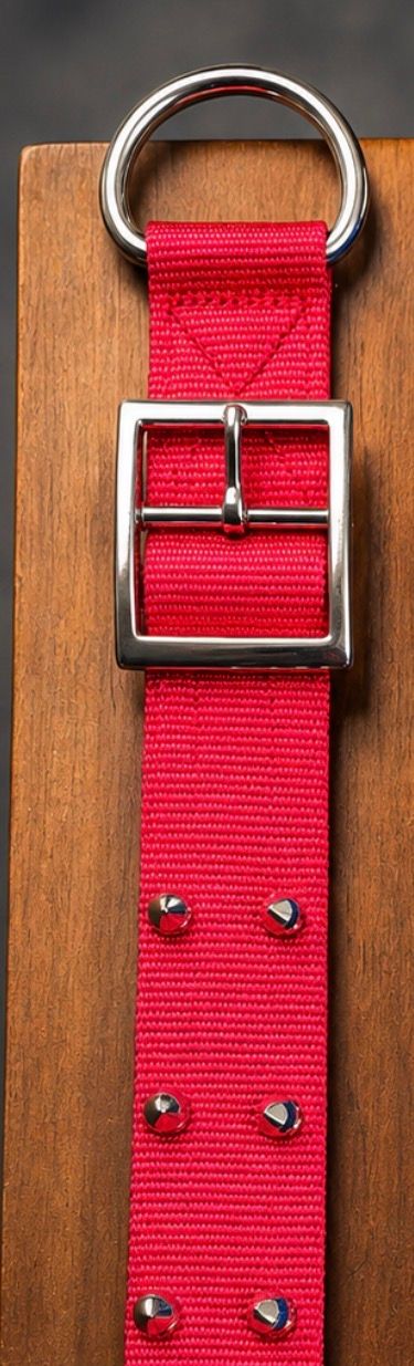 OmniPet Spiked 2 Ply Nylon Collar W/ 1/2" Spikes, Color: Red, Size: 28"