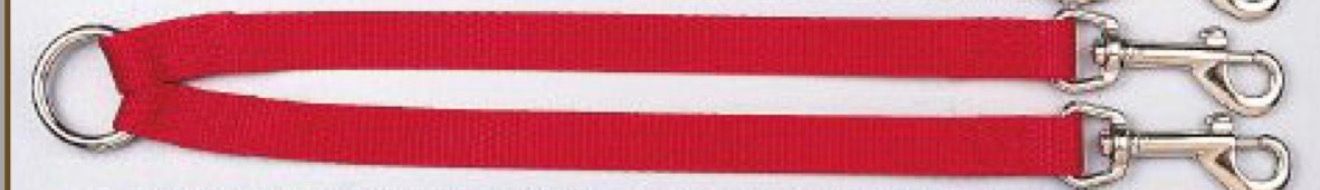 2 Dog Nylon Couplet 5/8" 26", Color: Red