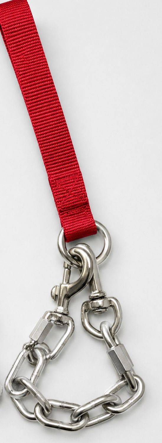 Jumbo Chain Lead / Leash, Color: Red