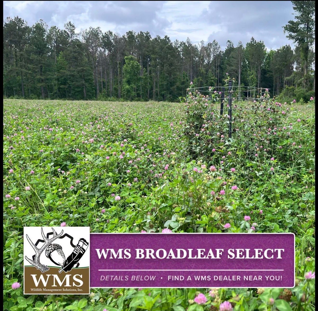 WMS Broadleaf Select 50lbs