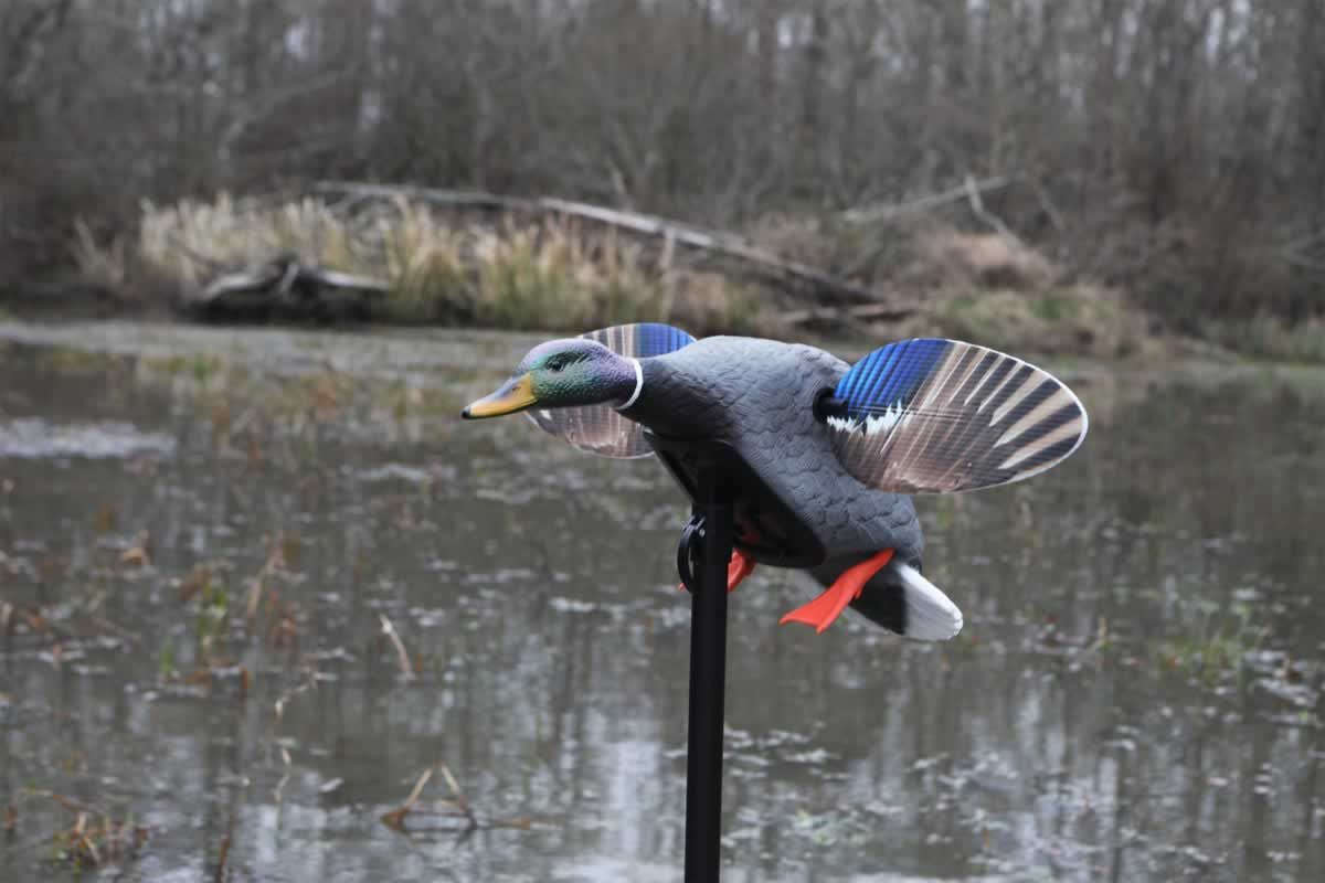 MOJO Elite Series – Mini Mallard Drake Motion Decoy