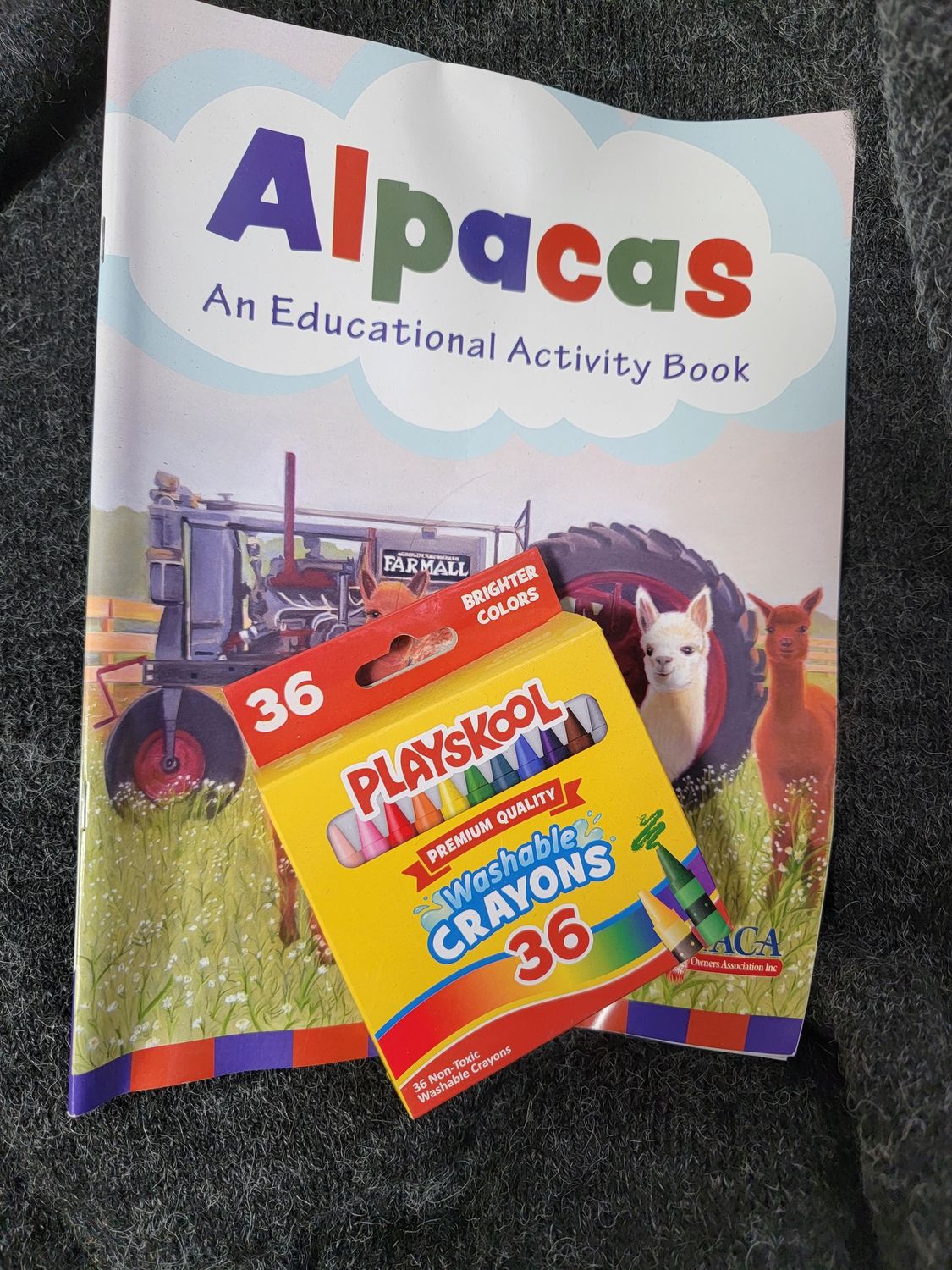 Alpaca Activity Book with Crayons