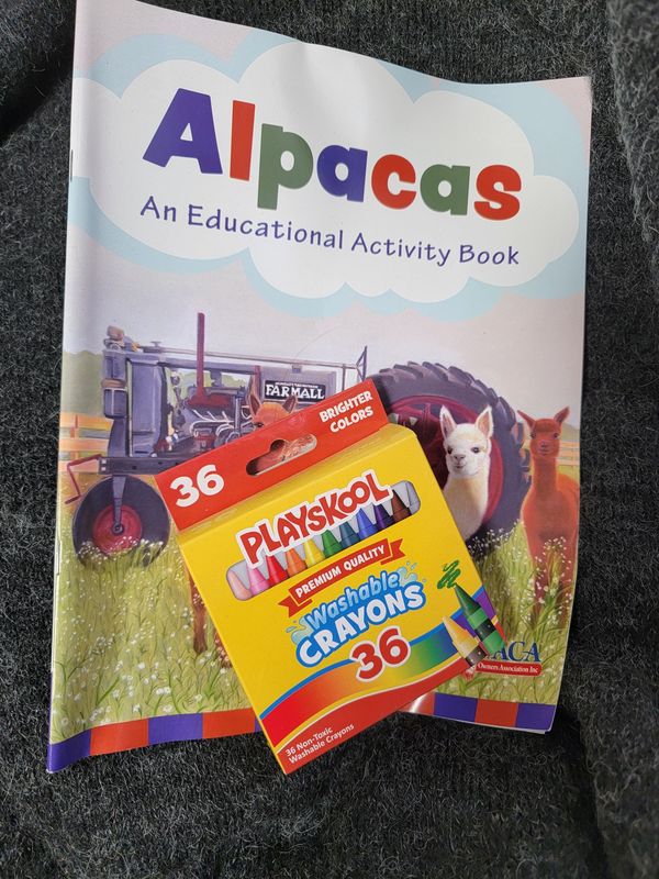 Alpaca Activity Book with Crayons