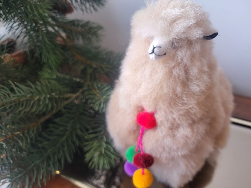 Alpaca with Tassels