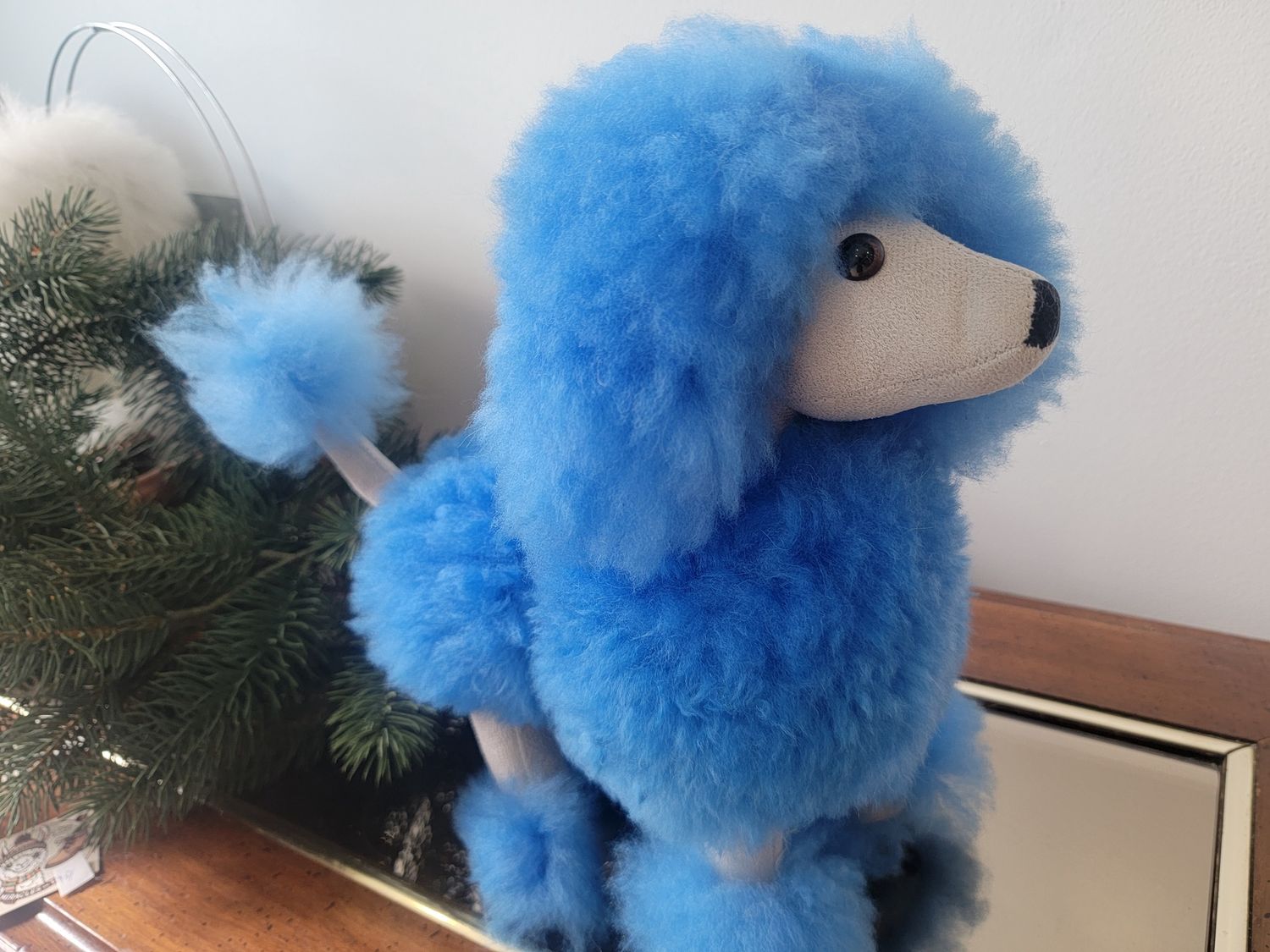 Alpaca Poodle, Colour: Blue