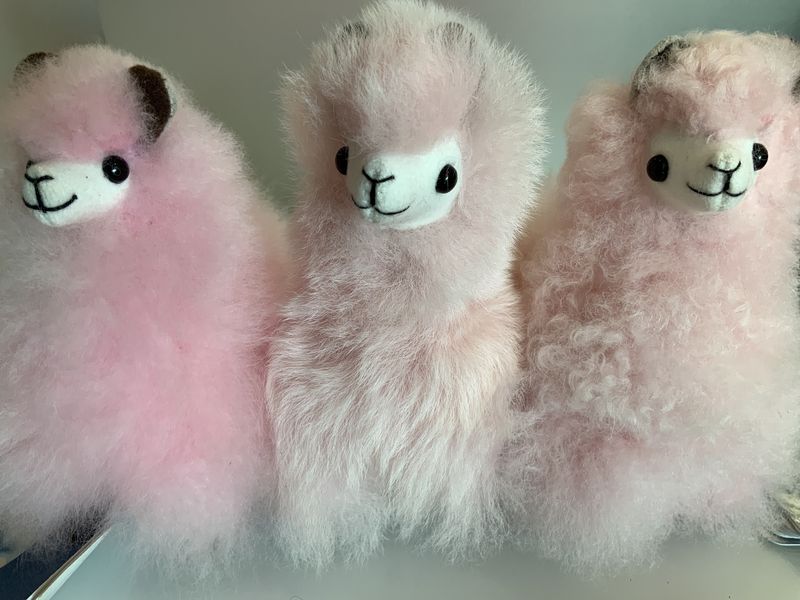 Toy Alpaca Huacaya