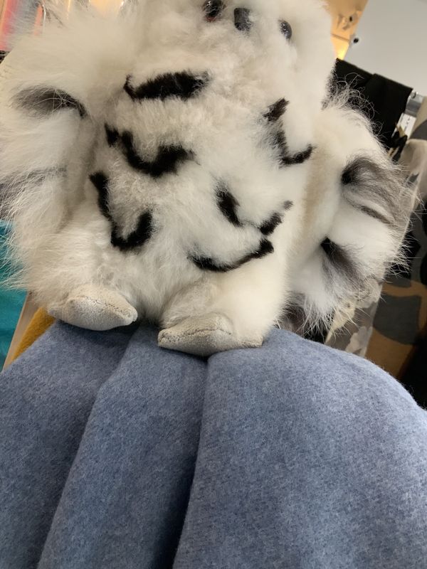 Cashmere Scarf Solids