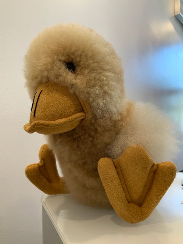 Duck