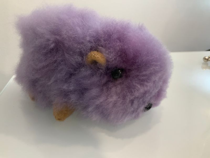 Guinea Pig