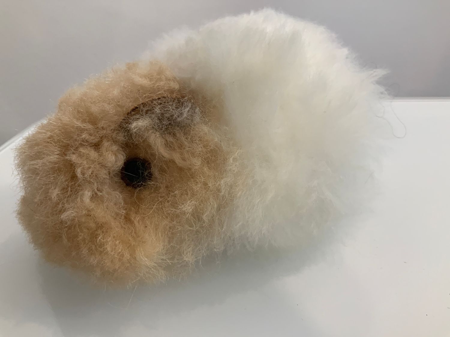 Alpaca Life Gerbil and Mice, Name: Gerbil