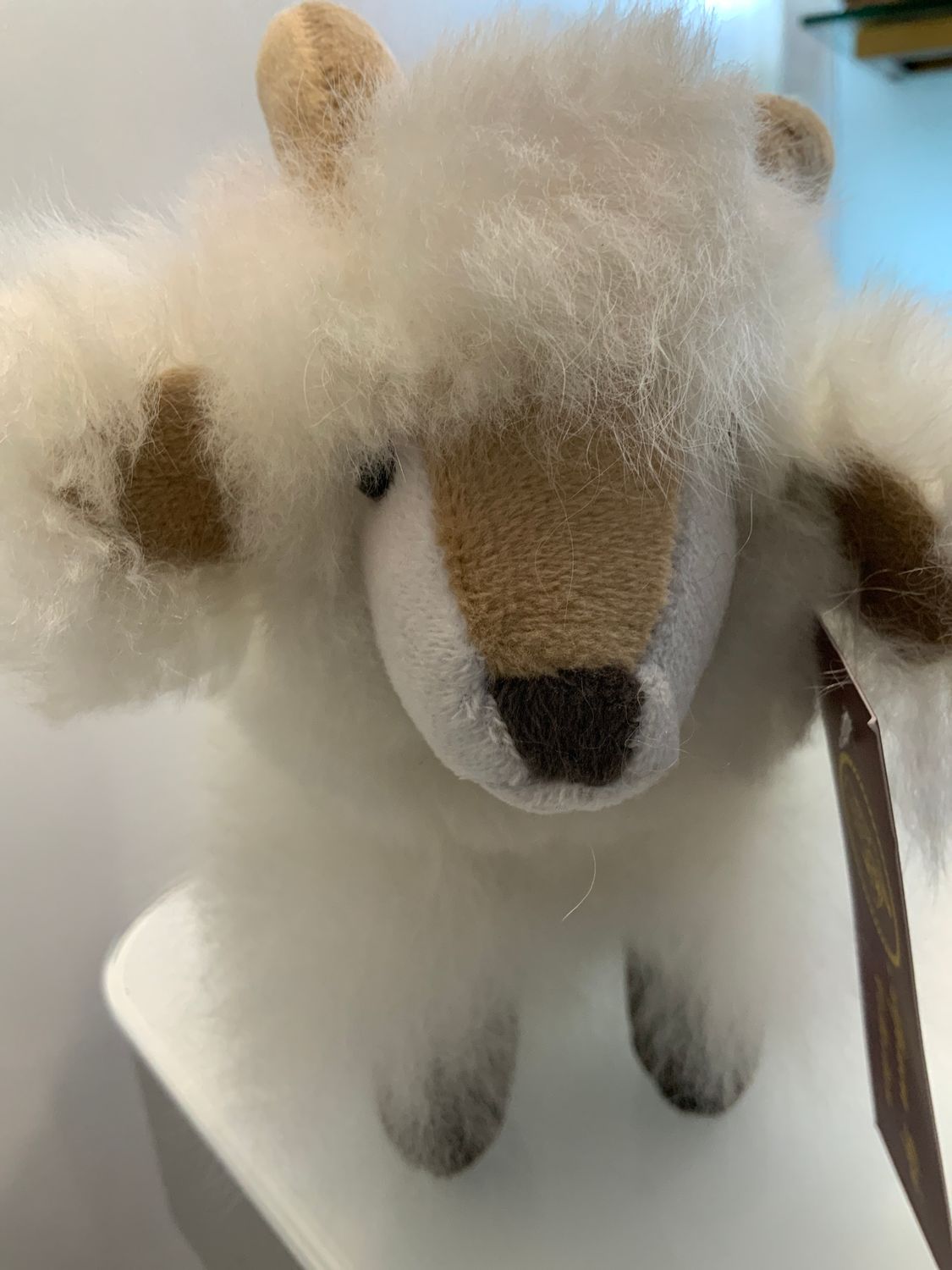 Goat, Color: White