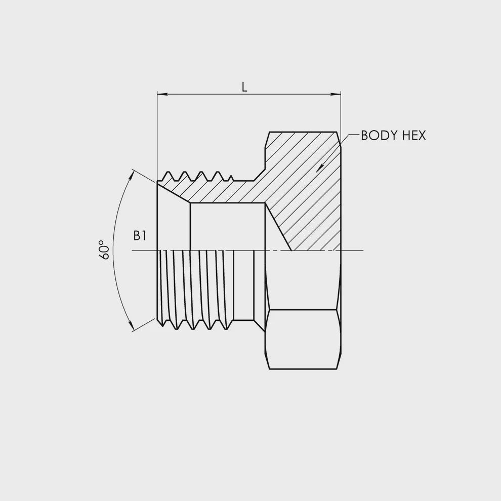 MBSPP Hex Plug 9522-P, Size: 9522-P-02