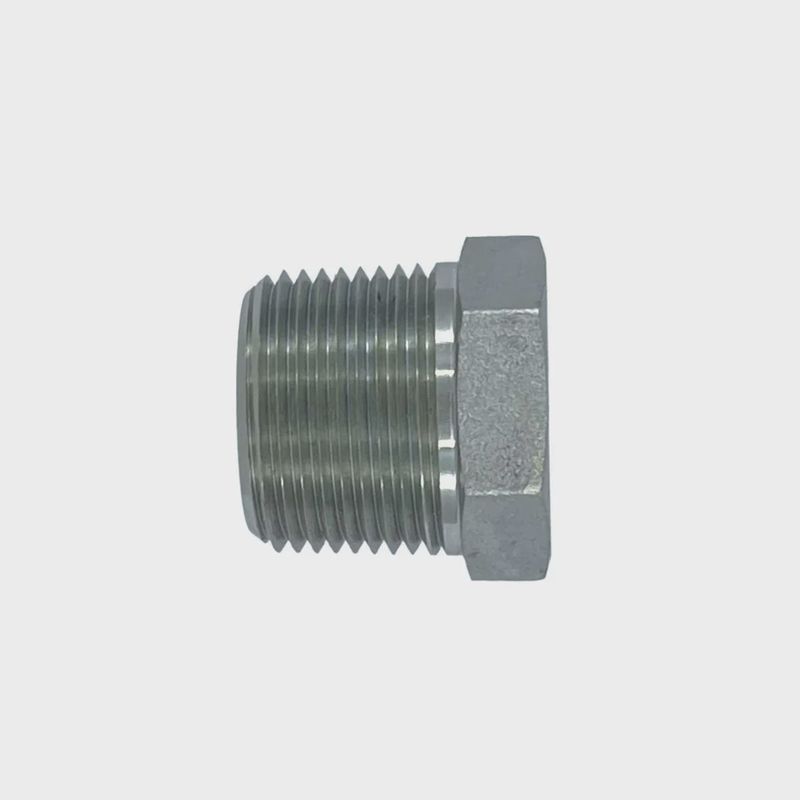 External Hex Pipe Plug 5406-P