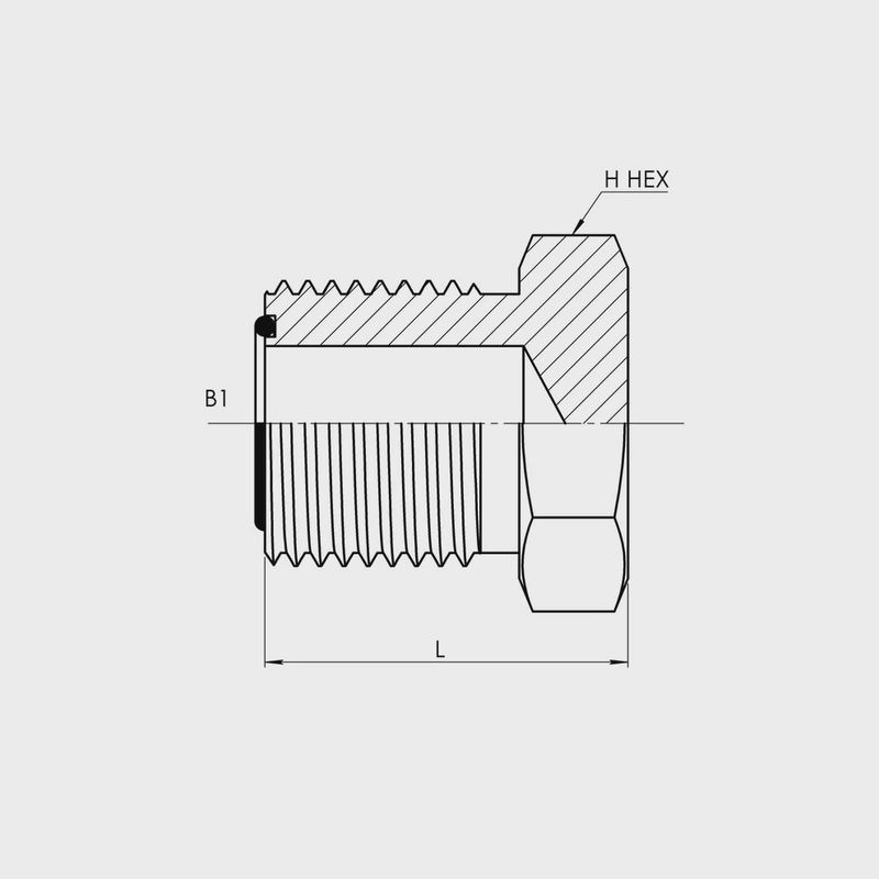 MFS (MALE FACE SEAL) Plug FS2408