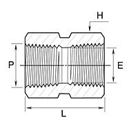 NPT HEX COUPLING (GCG)