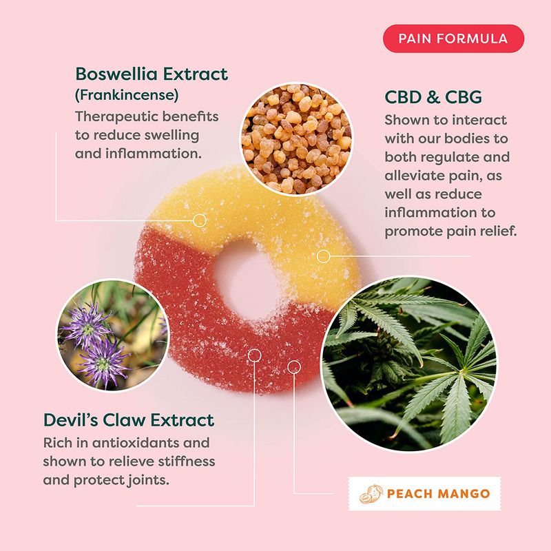 Pain 45mg CBD &amp; 5mg CBG Full Spectrum Gummies