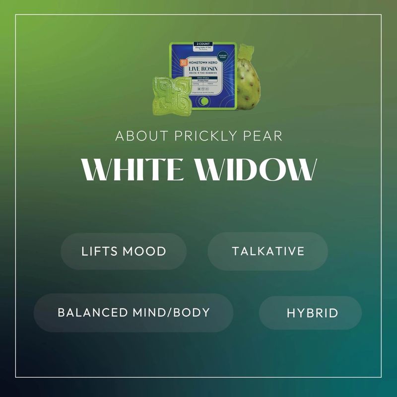 Sample Sugar Free Prickly Pear Hybrid White Widow 25mg D9 Live Rosin