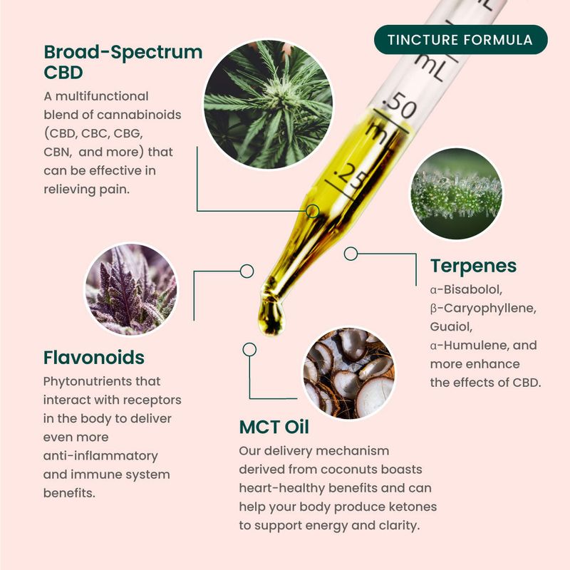 Broad Spectrum Tincture 1000mg Fresh Mint