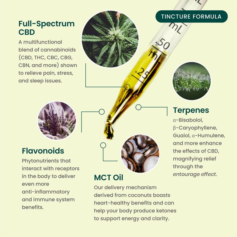 Full Spectrum Tincture 1000mg Fresh Mint